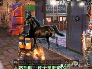 明日周年版本爆料最新,新版本爆料,惊喜连连,共赴未来之旅 第2张 明日周年版本爆料最新,新版本爆料,惊喜连连,共赴未来之旅 第2张